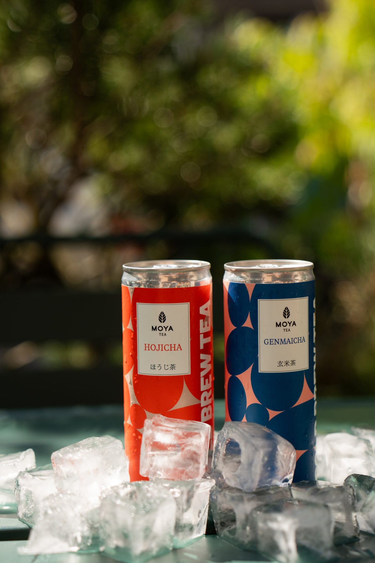 Moya Cold Brew Genmaicha - 250ml canned drink